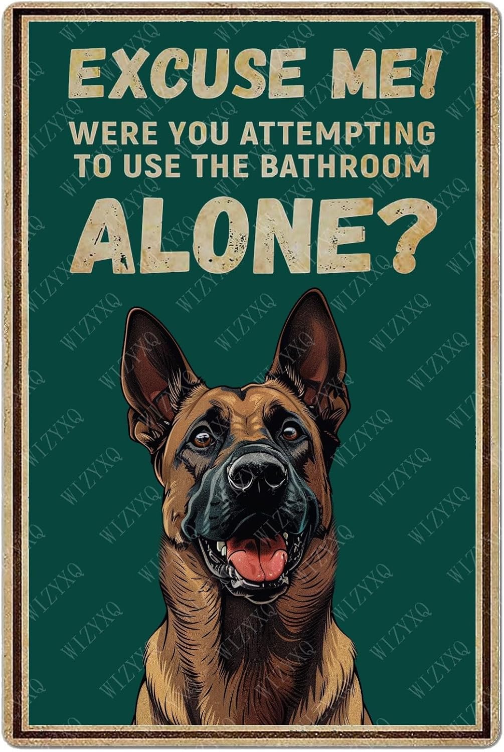 Home Alone Bathroom - لافتات معدنية: 